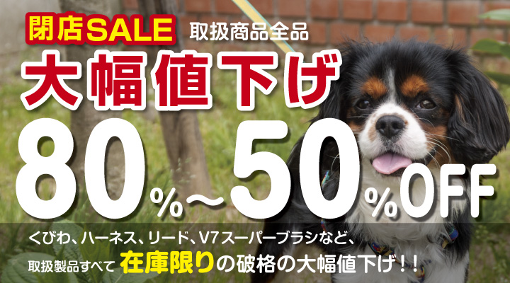 ピヨコスモ ウェブペットショップ 閉店セール大幅値下げ